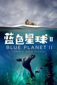 Blue Planet II - Posters