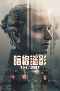 The Asset - Posters