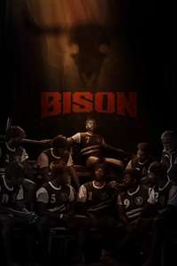 Bison Kaalamaadan - Posters