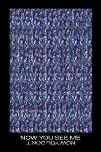 Now You See Me: Now You Don't - Posters