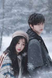 Ski into Love - Posters