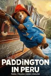 Paddington in Peru - Posters