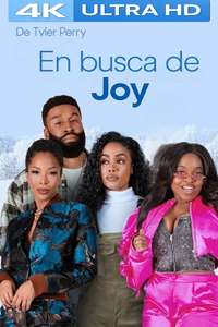 Tyler Perry's Finding Joy - Posters