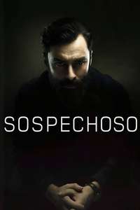 The Suspect - Posters