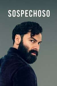 The Suspect - Posters
