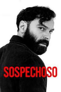 The Suspect - Posters