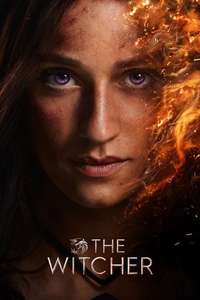 The Witcher - Posters