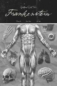 Frankenstein - Posters