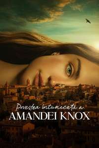 The Twisted Tale of Amanda Knox - Posters