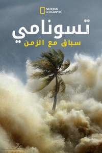 Tsunami: Race Against Time - Posters