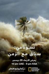 Tsunami: Race Against Time - Posters