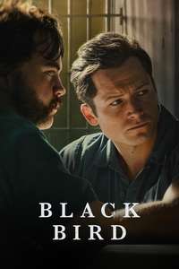 Black Bird - Posters