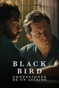 Black Bird - Posters