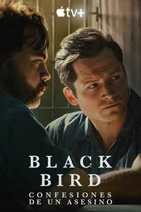 Black Bird - Posters