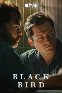 Black Bird - Posters