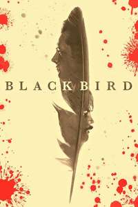 Black Bird - Posters
