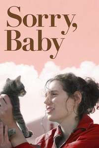 Sorry  Baby - Posters