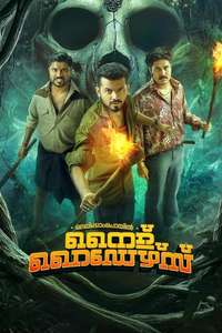 Nellikkampoyil Night Riders - Posters