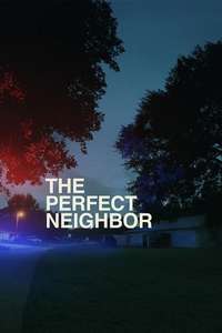 The Perfect Neighbor - Posters