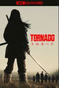 Tornado - Posters