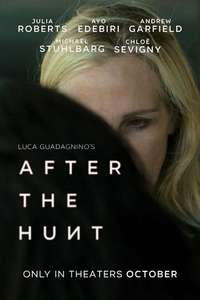 After the Hunt - Posters