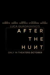 After the Hunt - Posters