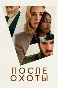 After the Hunt - Posters