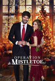 Operation Mistletoe