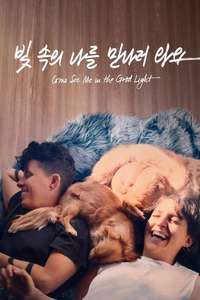 Come See Me in the Good Light - Posters