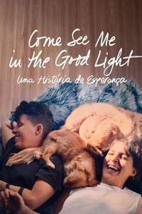 Come See Me in the Good Light - Posters