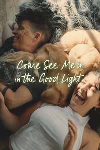 Come See Me in the Good Light - Posters