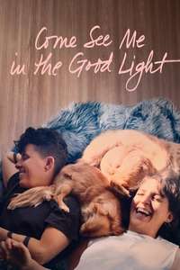 Come See Me in the Good Light - Posters