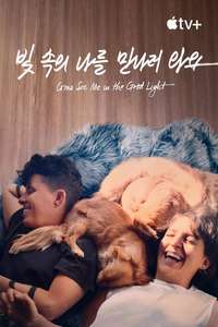 Come See Me in the Good Light - Posters