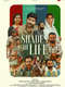 SHADES OF LIFE
