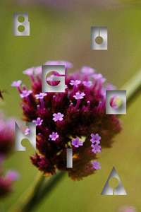 Bugonia - Posters