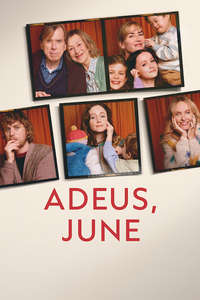 Goodbye June - Posters