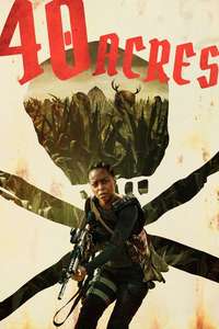 40 Acres - Posters