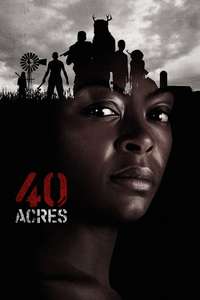40 Acres - Posters