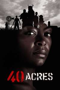 40 Acres - Posters