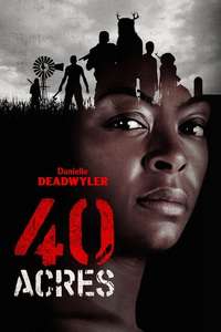 40 Acres - Posters