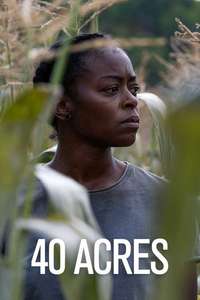 40 Acres - Posters