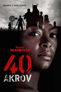 40 Acres - Posters