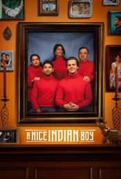 A Nice Indian Boy