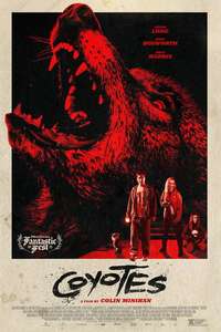 Coyotes - Posters