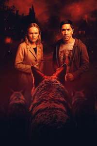 Coyotes - Posters