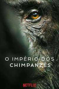 Chimp Empire - Posters