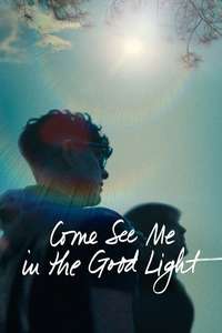 Come See Me in the Good Light - Posters