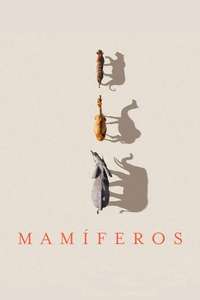 Mammals - Posters