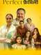 Perfect Family : Season 1