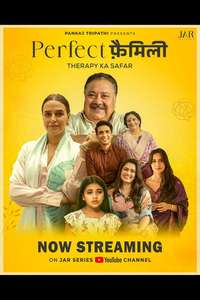 Perfect Family - Posters